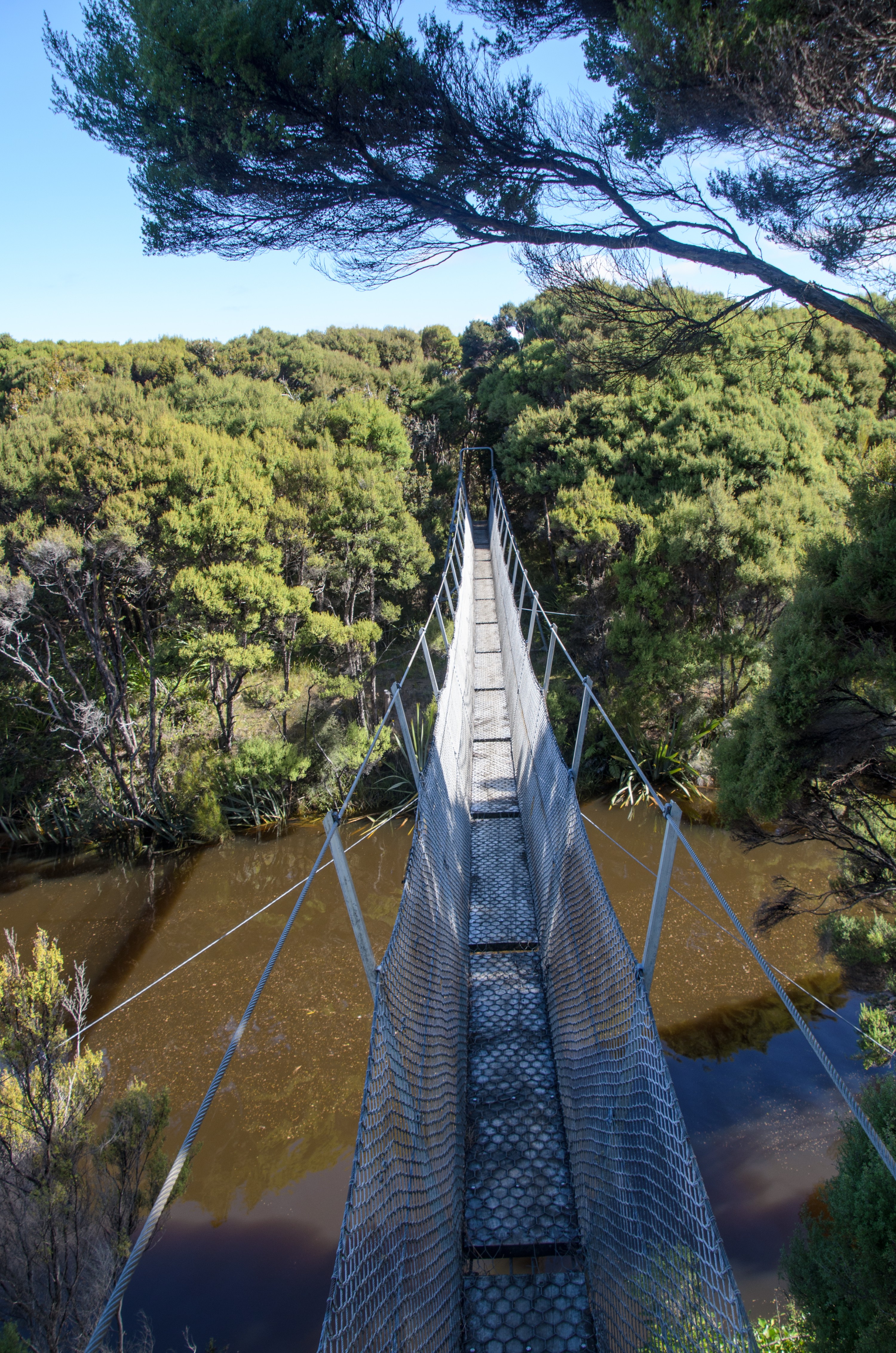 DSC_2158 – Adventure, Crispin, Freshwater, Freshwater Hut, Hut, Island, March 2017, Mason, Mason Bay, National Park, New, New Zealand, Rakiura, South, Stewart, Zealand